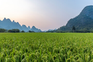 一城山水一场空原唱是谁 不过是一城山水一场空